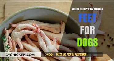 Best Places to Buy Raw Chicken Feet for Dogs