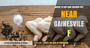 Where to Find Raw Chicken Feet Near Gainesville, FL: Top Spots