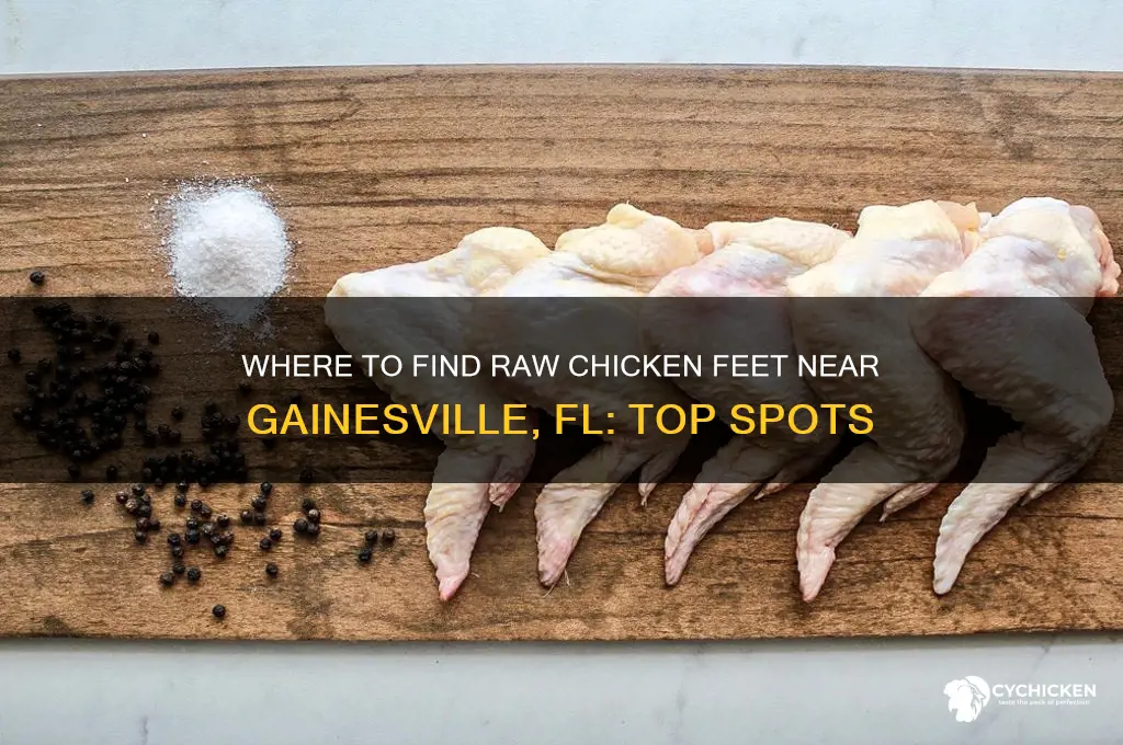 where to buy raw chicken feet near gainesvile f