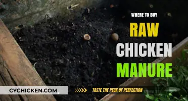 Best Sources to Purchase Raw Chicken Manure for Gardening