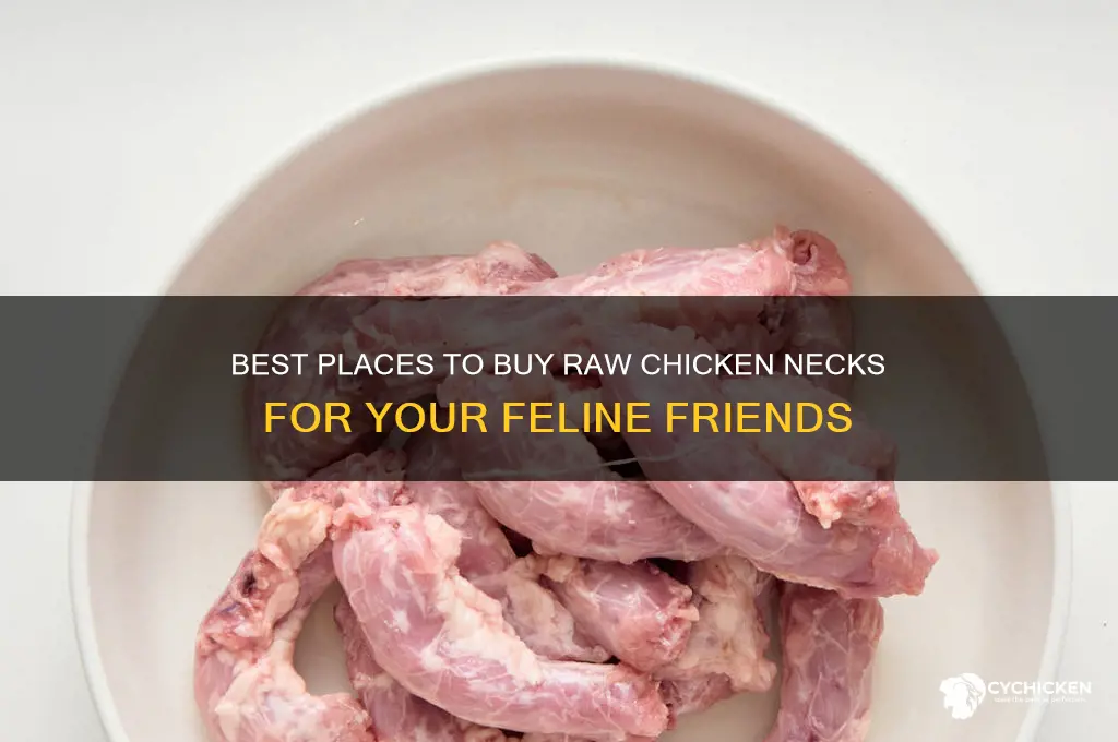 where to buy raw chicken necks for cats