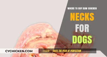 Best Places to Buy Raw Chicken Necks for Your Dog's Diet