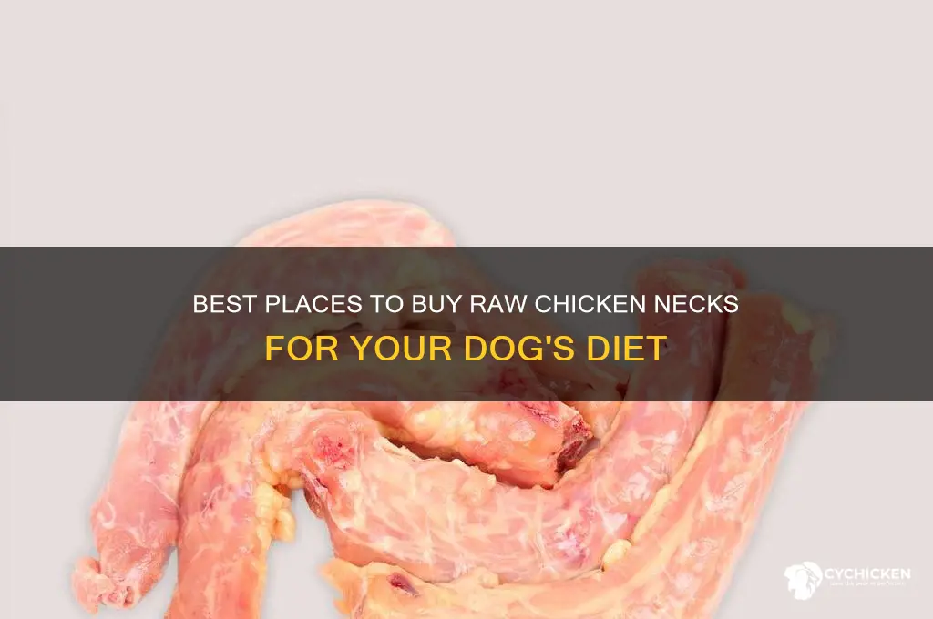 where to buy raw chicken necks for dogs
