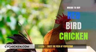 Discover the Best Places to Buy Red Bird Chicken Today
