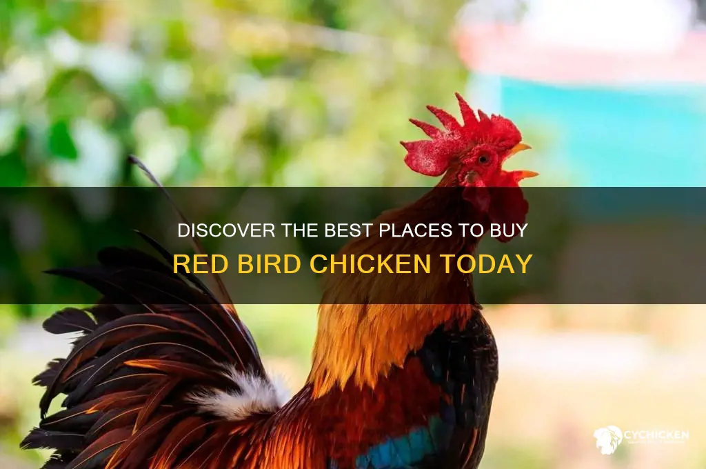 where to buy red bird chicken