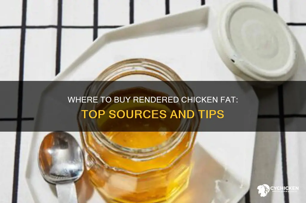 where to buy rendered chicken fat