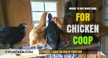 Best Places to Purchase River Sand for Your Chicken Coop