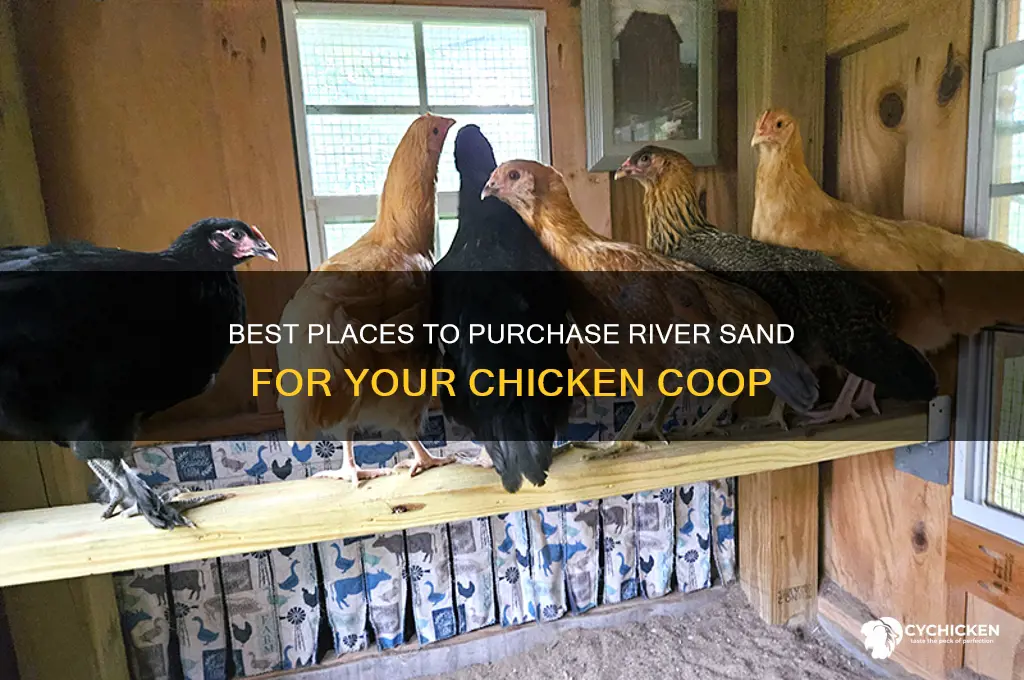 where to buy river sand for chicken coop