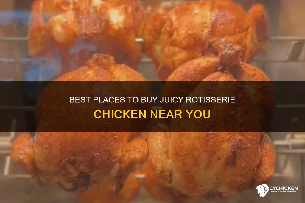 where to buy rotisserie chicken