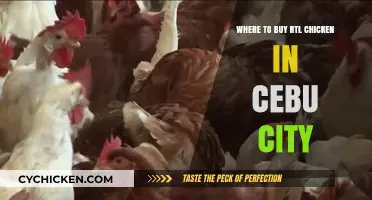 Discover the Best Spots to Buy RTL Chicken in Cebu City