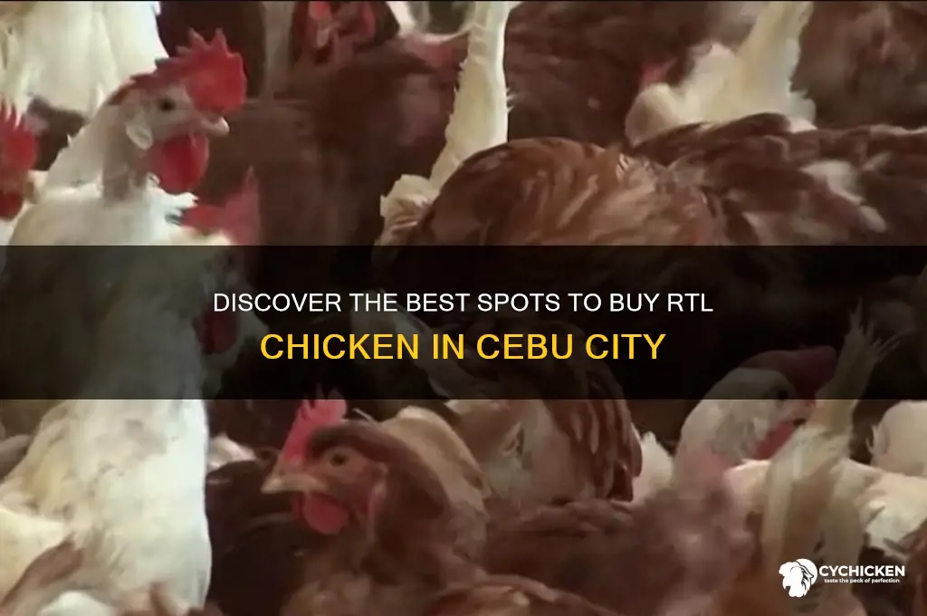 where to buy rtl chicken in cebu city