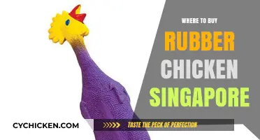Top Spots to Buy Rubber Chickens in Singapore: A Guide