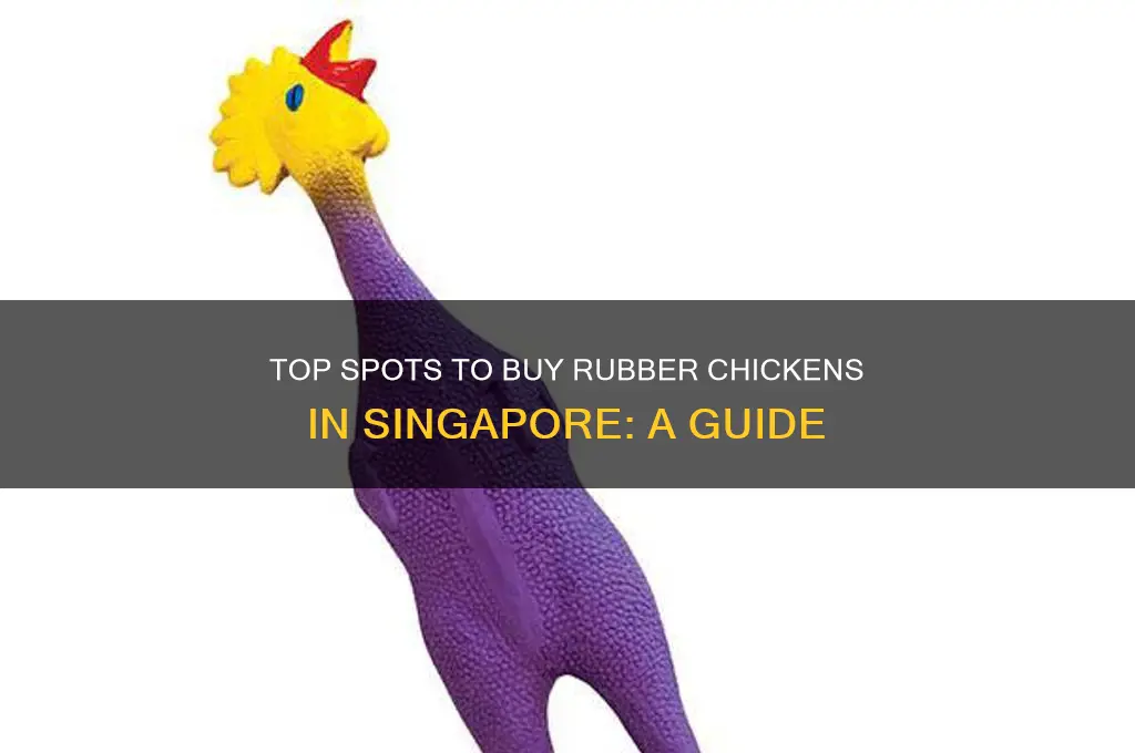 where to buy rubber chicken singapore
