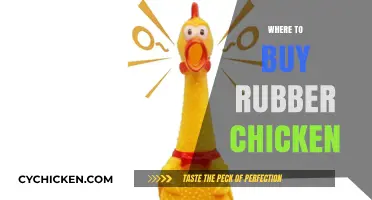 Where to Buy Rubber Chicken: Top Stores and Online Options