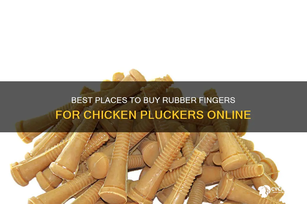 where to buy rubber fingers for chicken plucker
