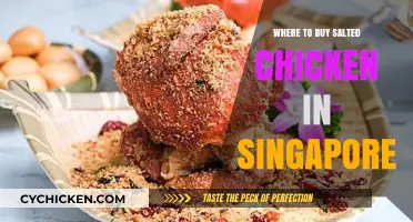 Discover Singapore's Best Spots to Buy Delicious Salted Chicken