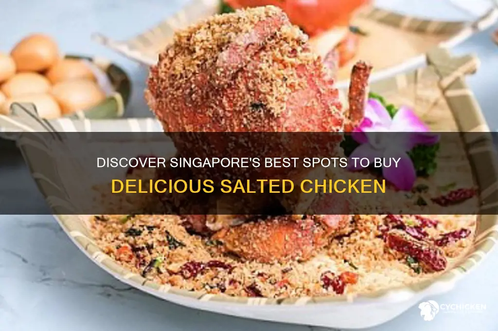 where to buy salted chicken in singapore