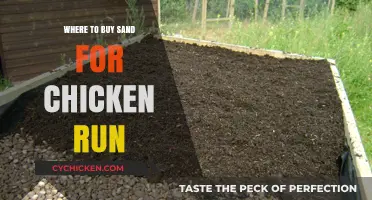 Best Places to Buy Sand for Your Chicken Run: A Guide