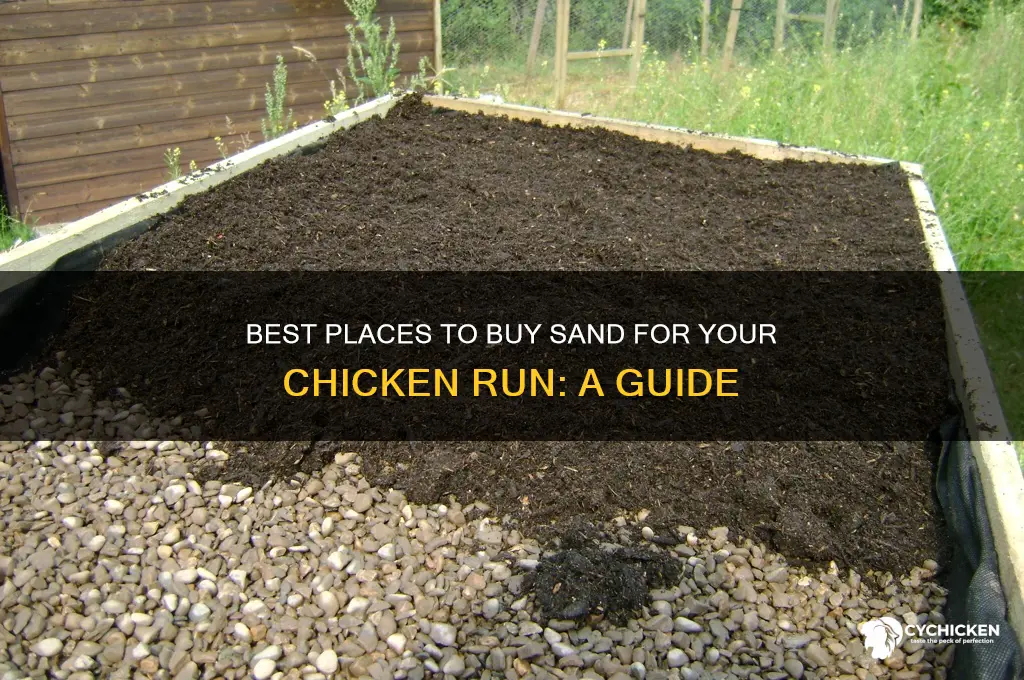 where to buy sand for chicken run