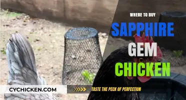 Discover the Best Places to Buy Sapphire Gem Chickens