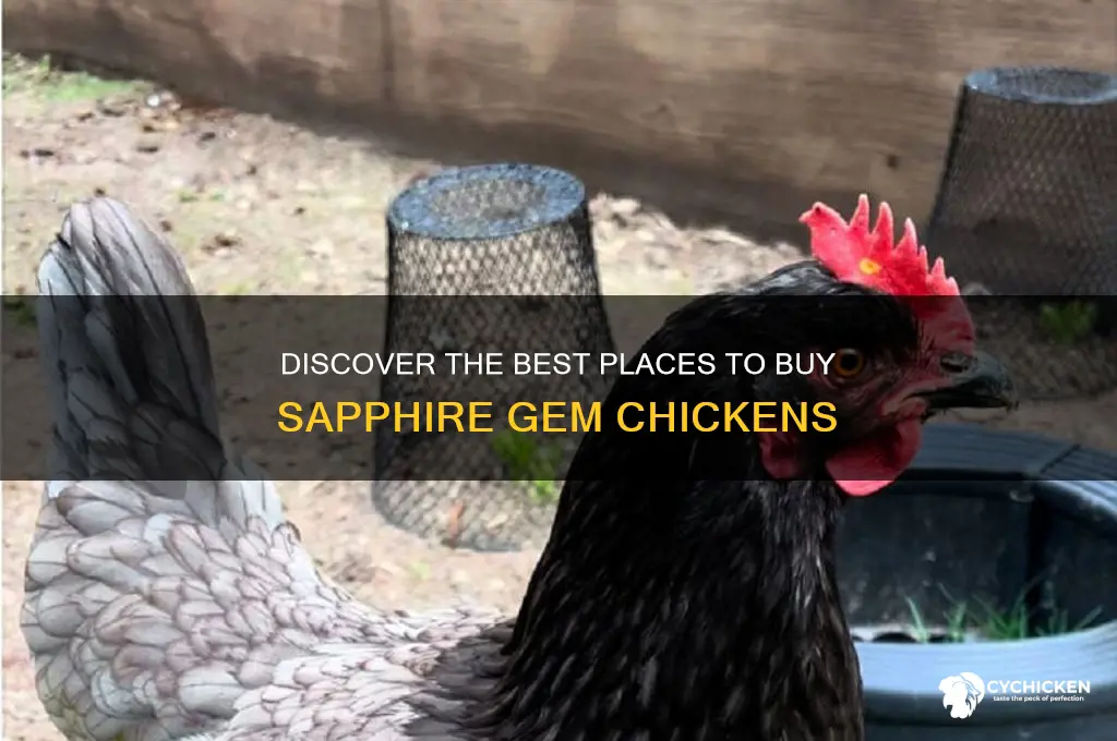 where to buy sapphire gem chicken
