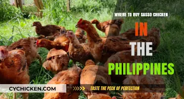 Discover Top Stores Selling Sasso Chicken in the Philippines Today