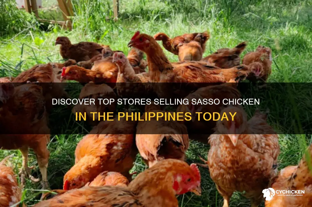 where to buy sasso chicken in the philippines