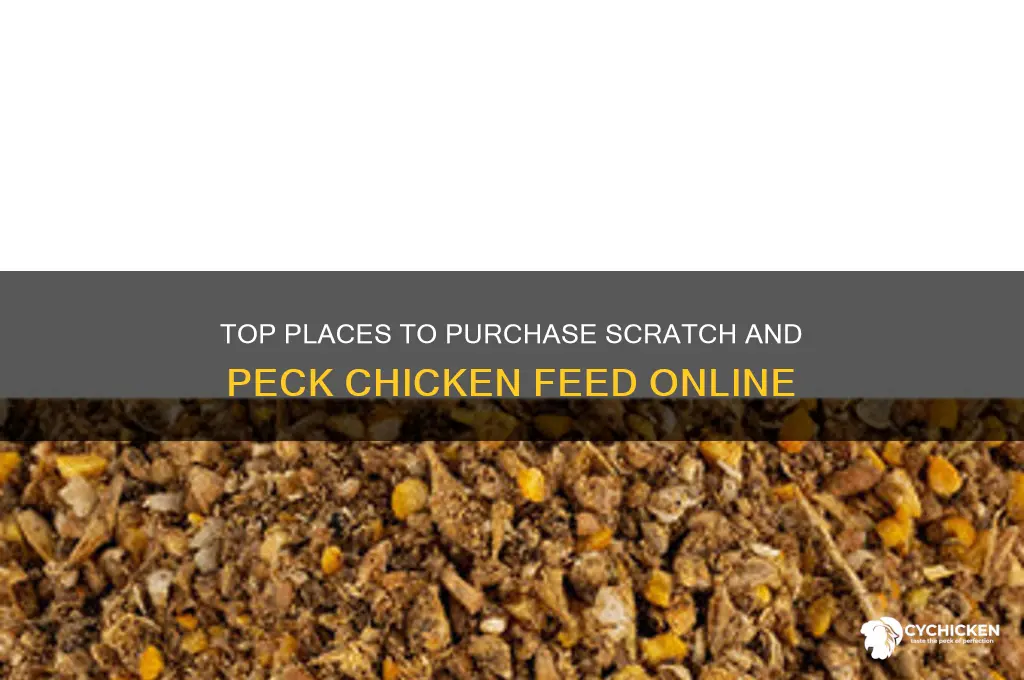 where to buy scratch and peck chicken feed
