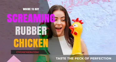 Where to Buy Screaming Rubber Chicken: Top Retailers and Online Stores