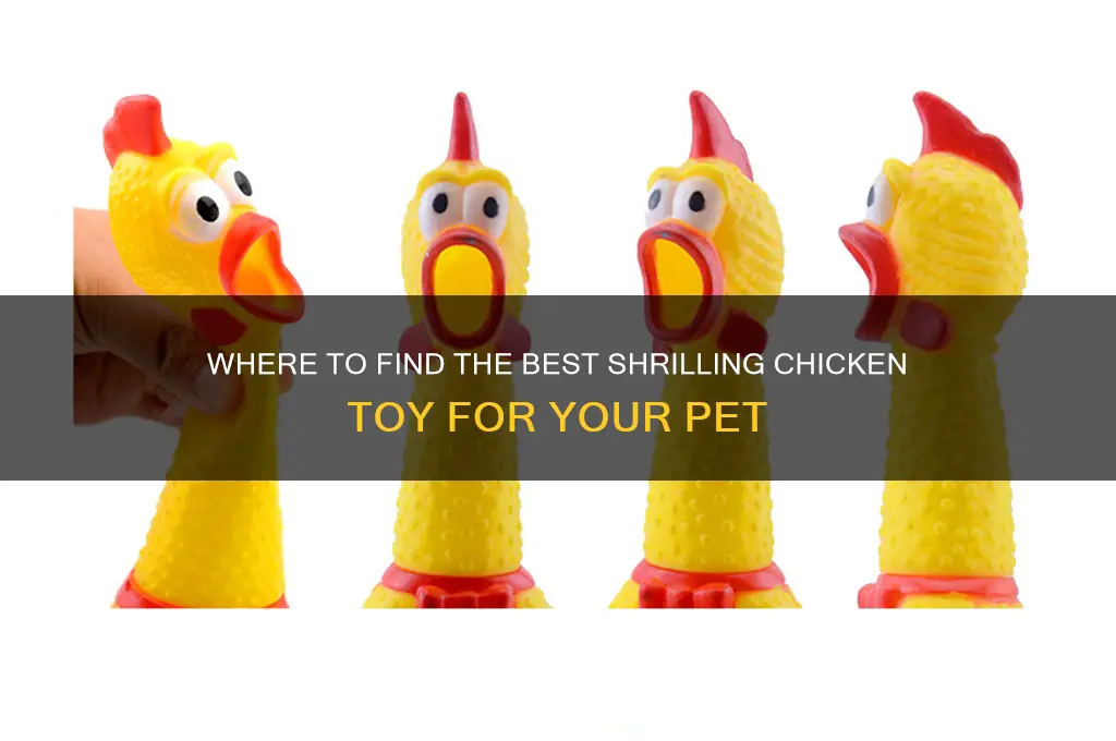 where to buy shrilling chicken toy
