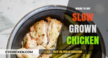 Discover the Best Sources for Slow-Grown Chicken Near You