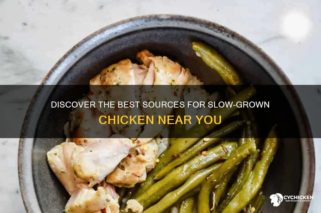 where to buy slow grown chicken