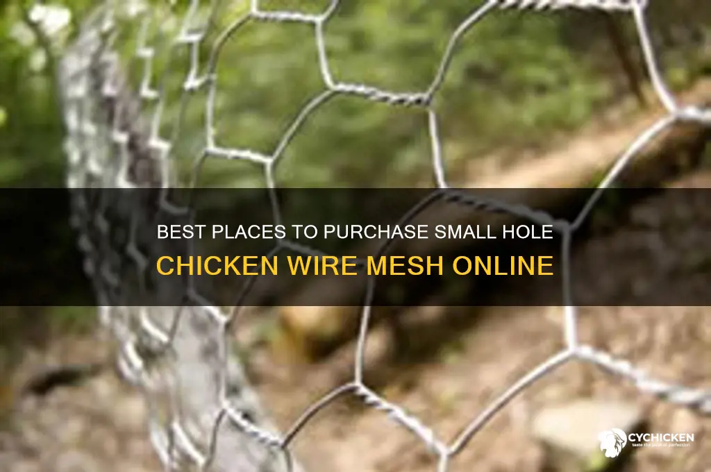 where to buy small hole chicken wire mesh