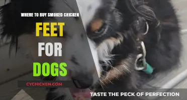 Best Places to Buy Smoked Chicken Feet Dog Treats Online