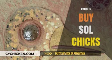 Best Places to Purchase Sol Chicks: A Comprehensive Guide