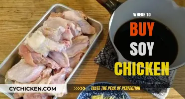 Discover the Best Places to Buy Delicious Soy Chicken