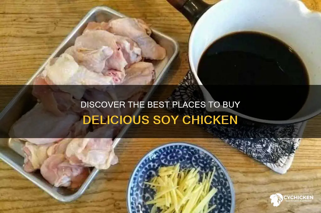 where to buy soy chicken