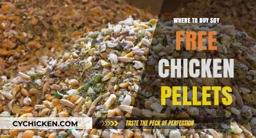 Soy-Free Chicken Pellets: Top Retailers and Buying Guide for Poultry Owners