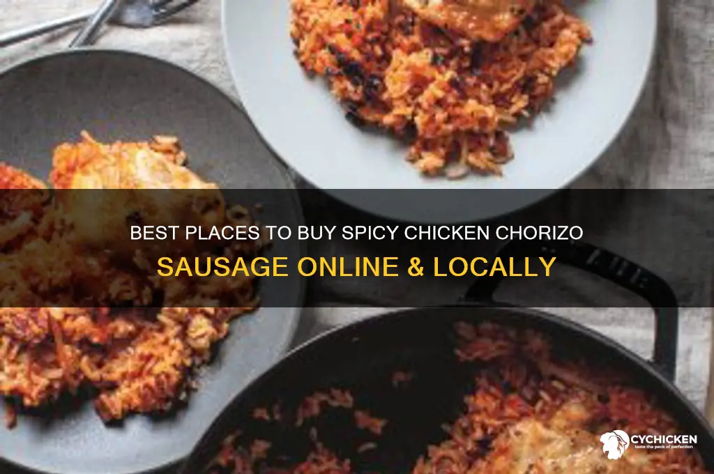 where to buy spicy chicken chorizo sausage