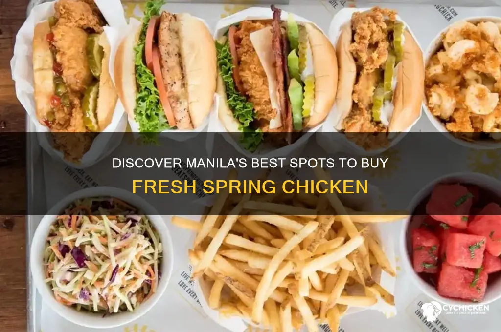 where to buy spring chicken in manila