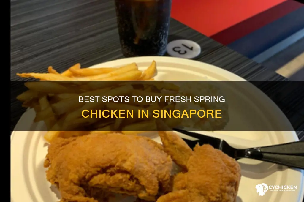 where to buy spring chicken in singapore