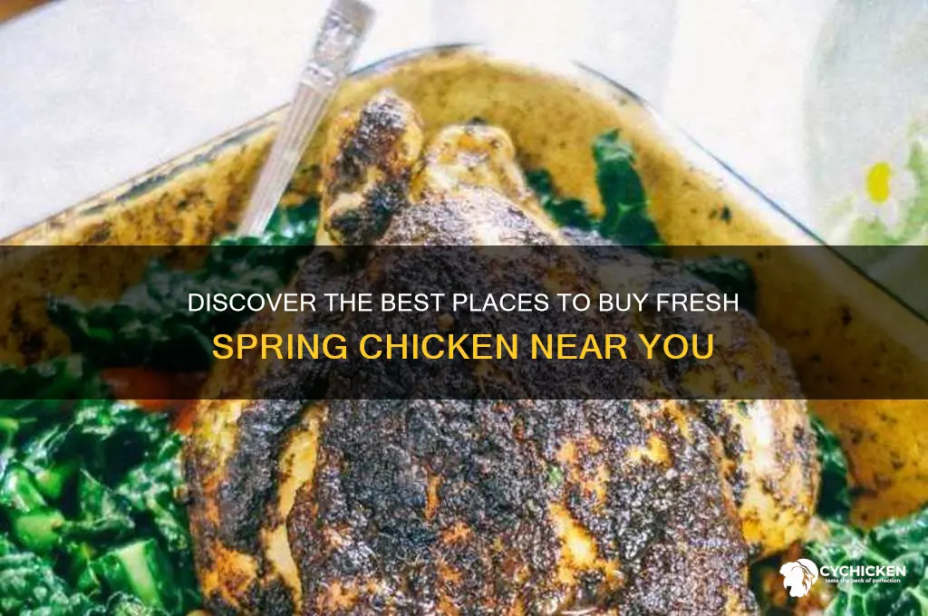 where to buy spring chicken