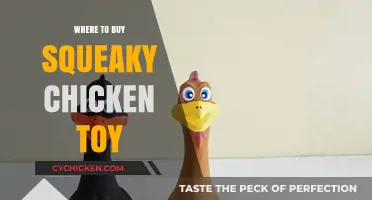 Best Places to Buy Squeaky Chicken Toys for Pets and Fun