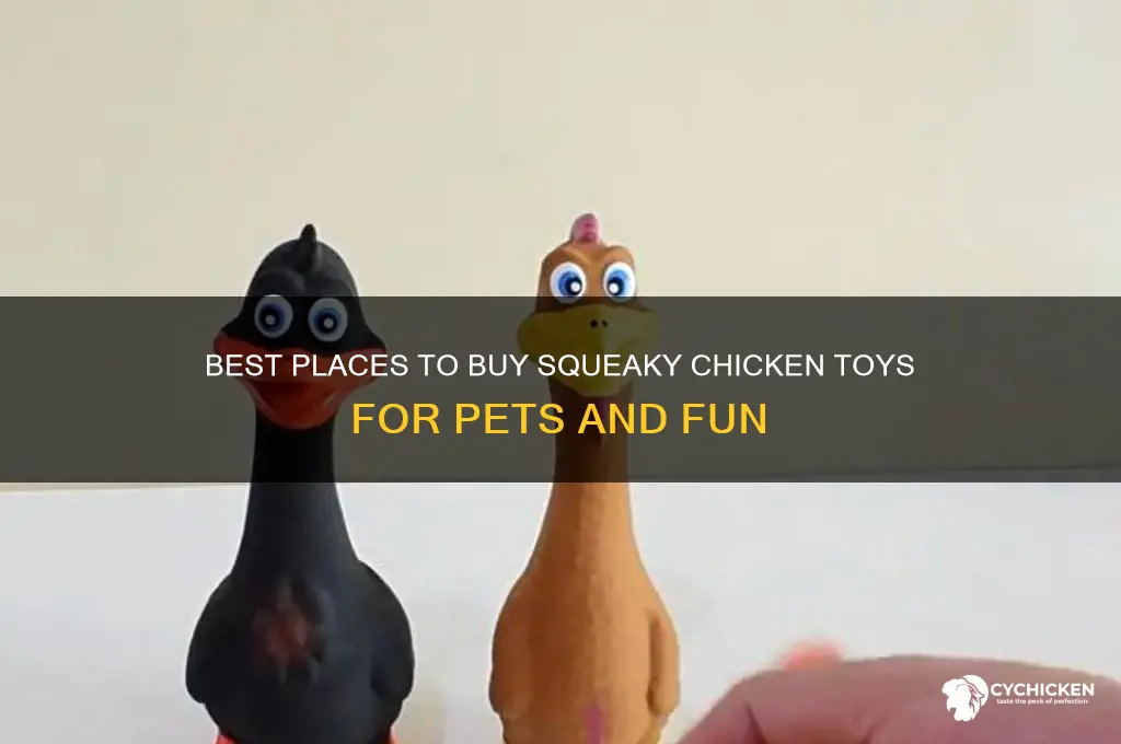 where to buy squeaky chicken toy