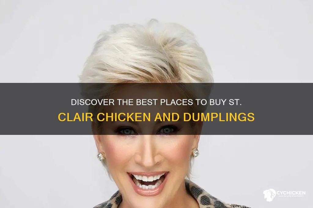 where to buy st clair chicken and dumplings
