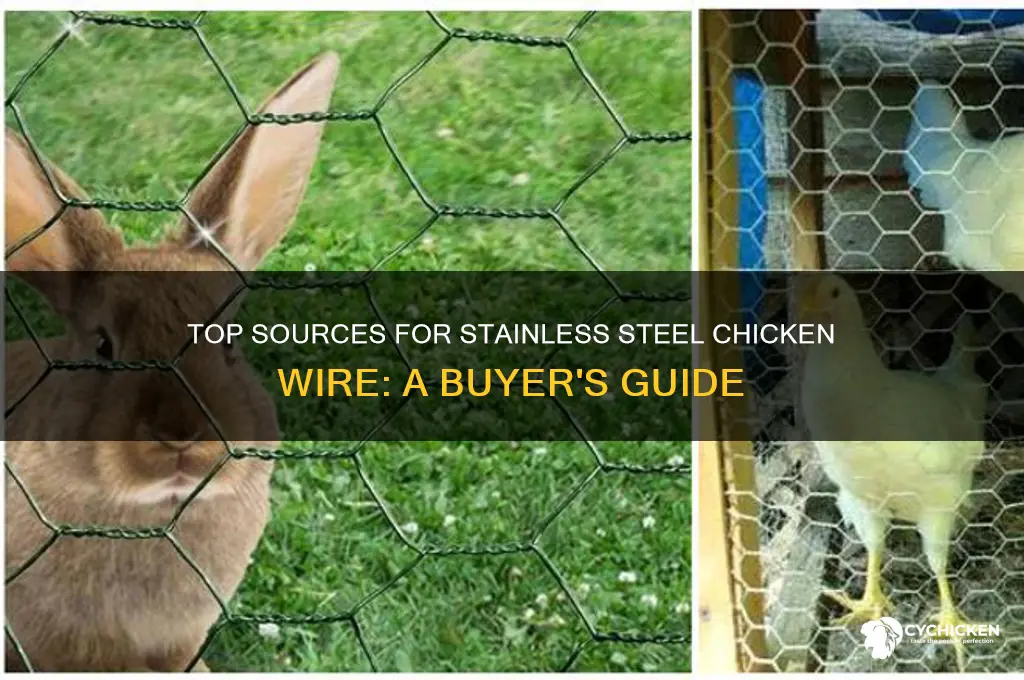 where to buy stainless steel chicken wire