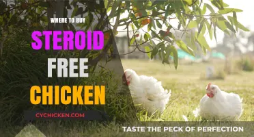 Discover Trusted Sources for Steroid-Free Chicken: A Healthy Buying Guide