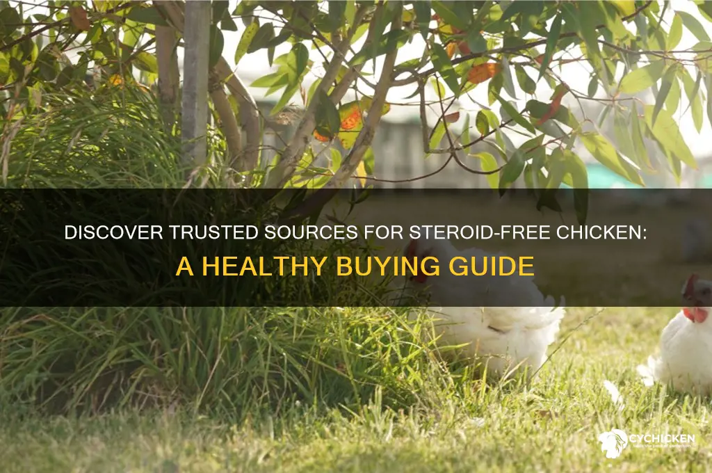 where to buy steroid free chicken