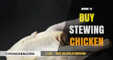 Best Places to Buy Stewing Chicken for Hearty Meals