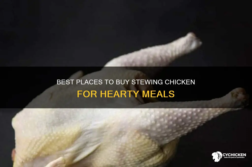 where to buy stewing chicken